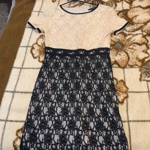 Mango lace dress